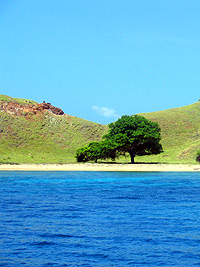島の景観２／コモド諸島
