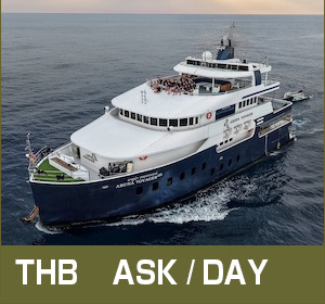 シミラン諸島〜リチェリューロック/ラグジュアリークルーズ/アルーナ