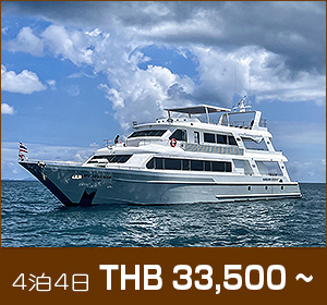 シミラン諸島〜リチェリューロック/デラックスクルーズ/マンダリンクイーン9