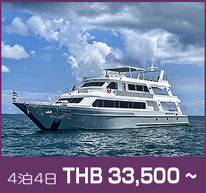 シミラン諸島〜リチェリューロック/デラックスクルーズ/マンダリンクイーン9