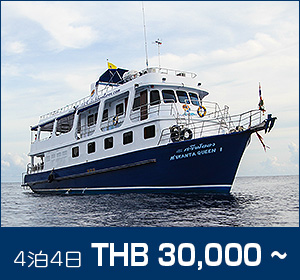 シミラン諸島〜リチェリューロック/デラックスクルーズ/マンタクイーン1