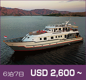 コモド諸島/世界遺産ダイブクルーズ/パヌニー