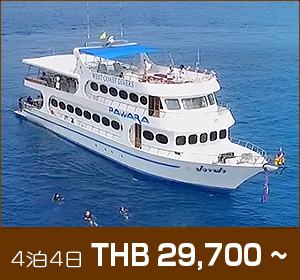 シミラン諸島〜リチェリューロック/デラックスクルーズ/パワラ