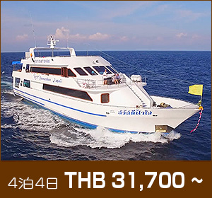 シミラン諸島〜リチェリューロック/デラックスクルーズ/パワラ