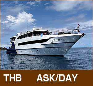 シミラン諸島〜リチェリューロック/デラックスクルーズ/アクアタイランド