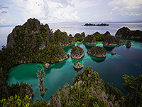 Image #6／Raja Ampat／Special trip／MV Panunee