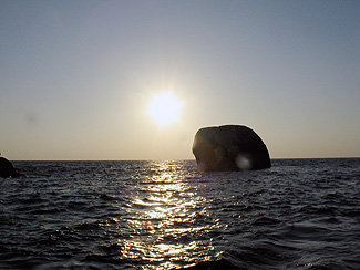 Dive site image/Elephant Head Rock