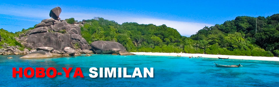 ほうぼう屋シミラン) ドナルドダックベイ(シミラン諸島No.8)