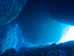 シミランクルーズ フォトギャラリー/水中景観