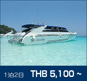 シミラン諸島/シースター シュノーケリング(スノーケリング)/詳細