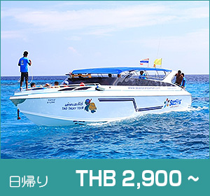 メイン写真/スリン諸島/シースター 日帰りシュノーケリング(スノーケリング)/ツアーの詳細