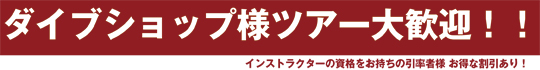 お知らせ&キャンペーン情報!