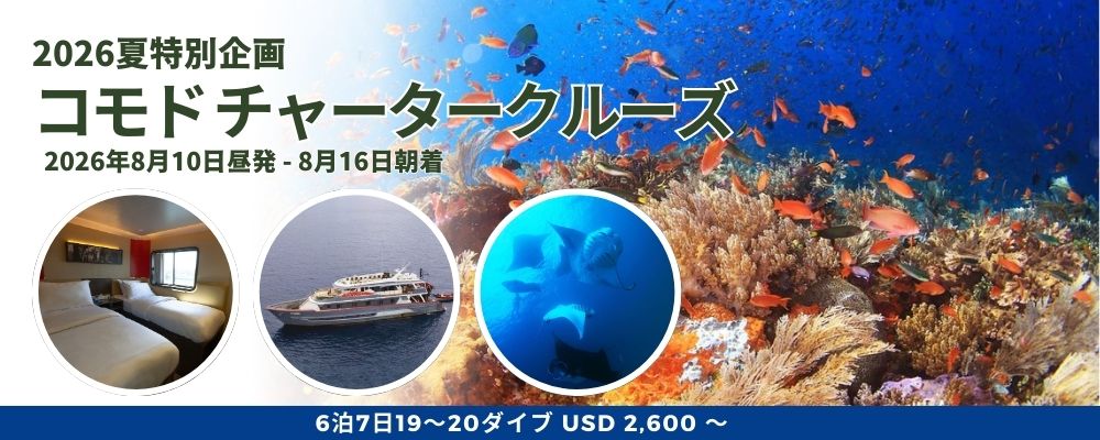 特別企画:コモドチャータークルーズ